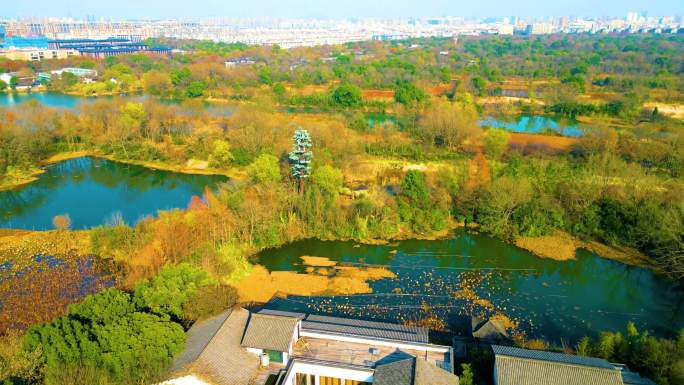 杭州西湖区西溪湿地美景风景视频素材90