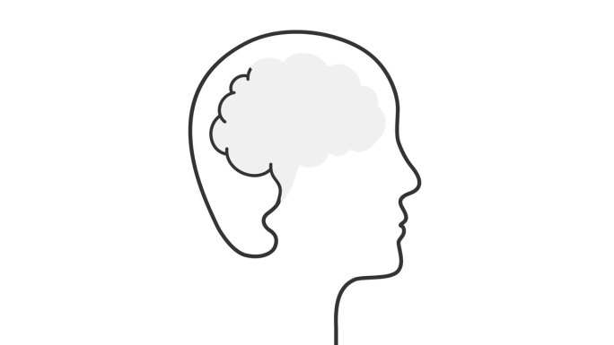 头部，面部和大脑轮廓的动画绘制
