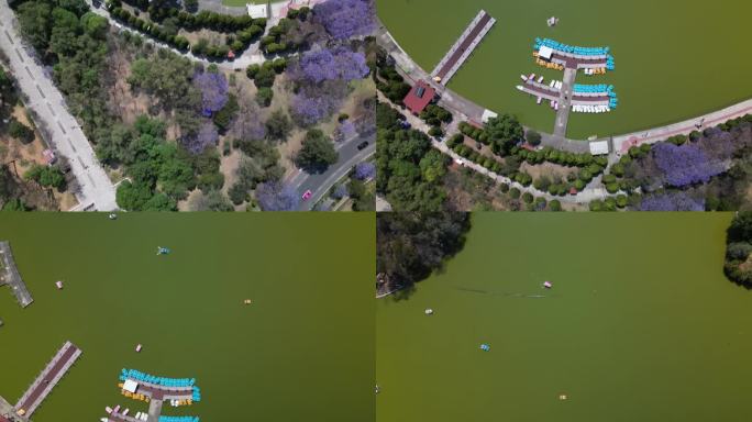 墨西哥城查普尔特佩克公园的鸟瞰图，有很多树木，绿色的湖泊和一条道路