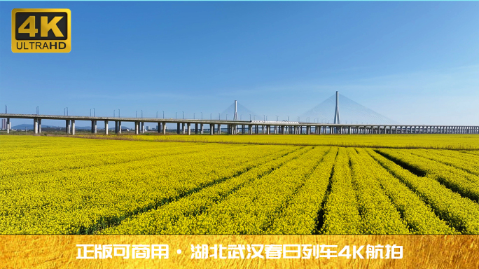 2024湖北武汉开往春天的列车4K航拍