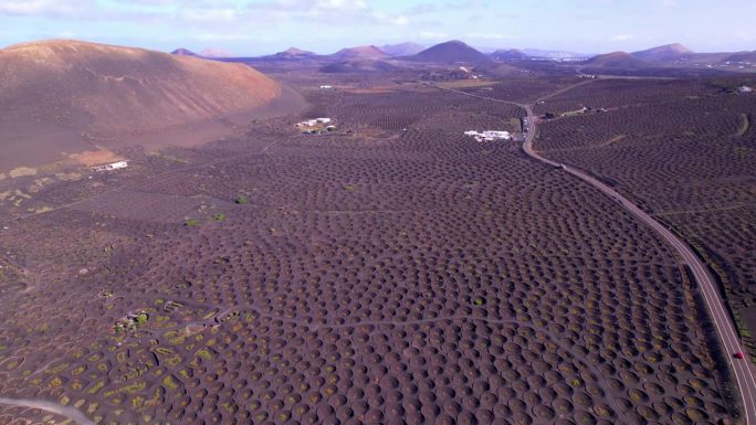 火山兰萨罗特群岛。黑土上独特的传统葡萄园。la Geria村。加那利群岛乡村空中无人机视频4kd