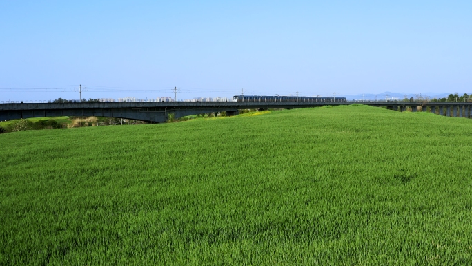 航拍麦田、列车穿过麦田、夕阳下的麦田