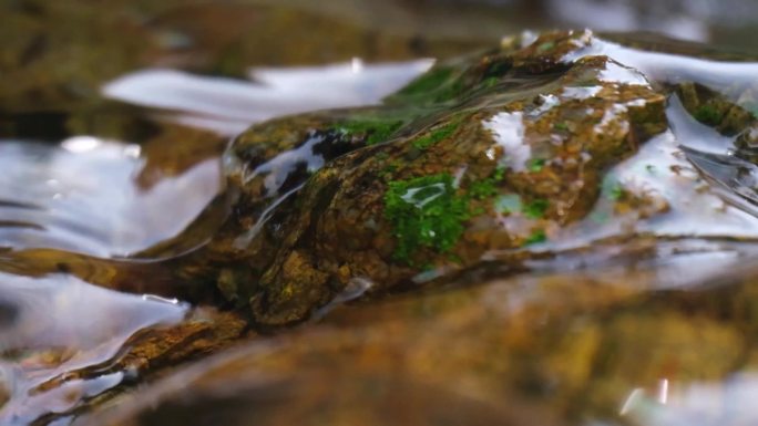 河边流水河流河水小溪山泉泉水水流唯美升格