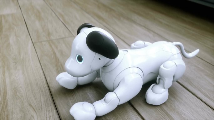 搞笑的小机器狗在房间里醒来。4 k动画。