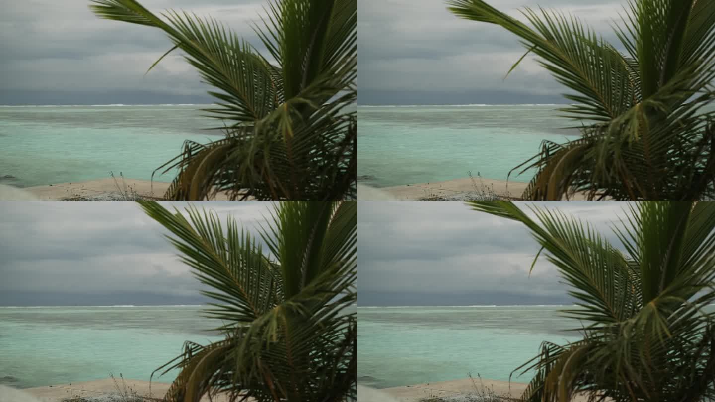 棕榈树下的海滨护墙。背景是沙滩、海浪和多云的天空。马尔代夫。