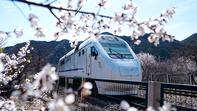 开往春天的列车 居庸关小火车 花海小火车