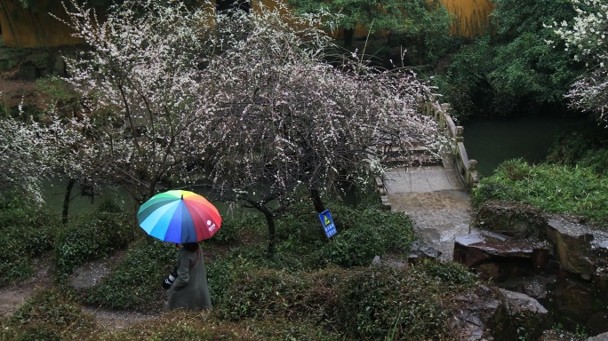 下雨天撑着彩虹伞的女人