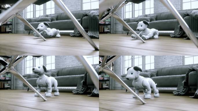 搞笑的小机器狗在房间里醒来。4 k动画。