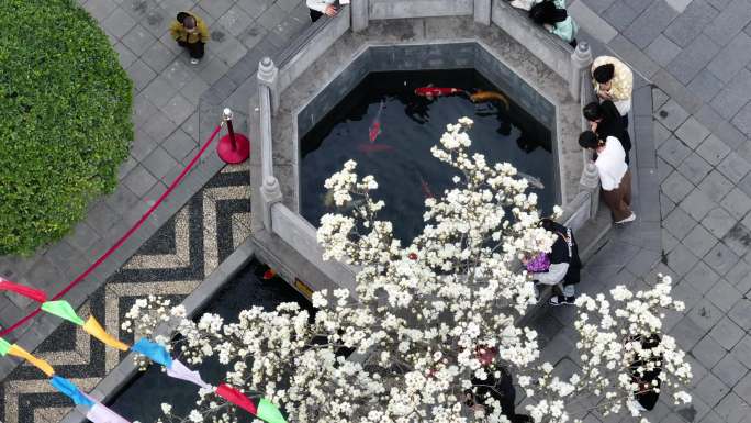 西安地标广仁寺寺庙红墙拱门山桃花春天航拍