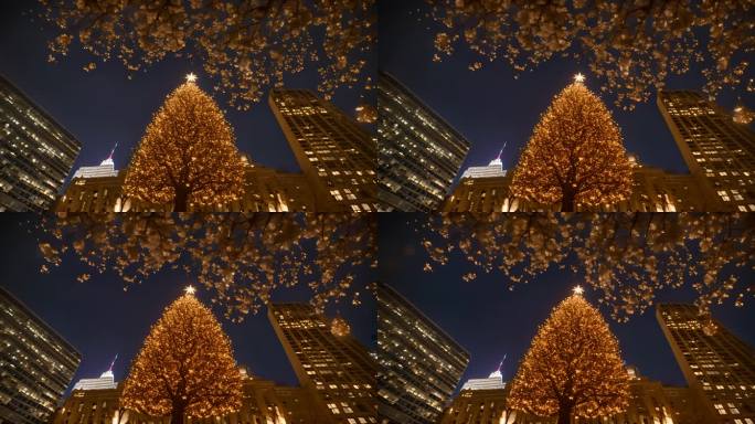 市中心夜晚点亮的圣诞树