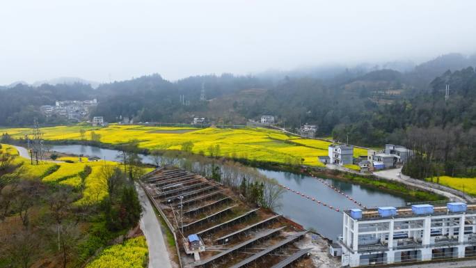 罗平九龙河坝口村螃蟹寨沿河村庄油菜花航拍