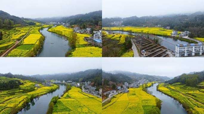 罗平九龙河坝口村螃蟹寨沿河村庄油菜花航拍