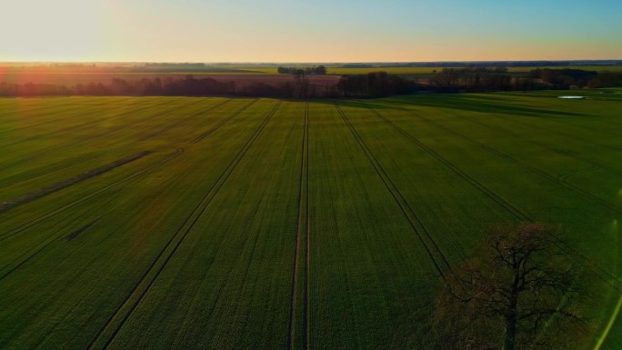 无人机在乡村极简景观中的农用地鸟瞰图