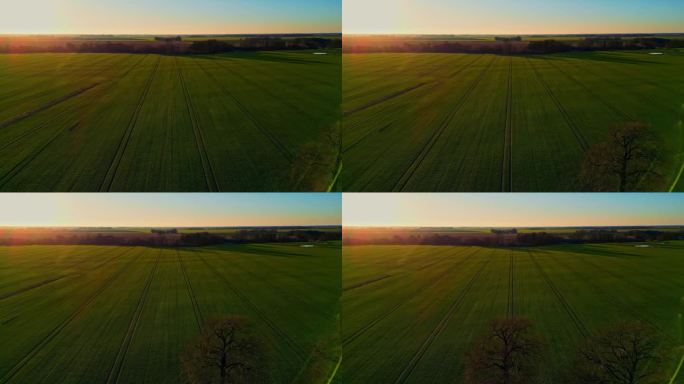 无人机在乡村极简景观中的农用地鸟瞰图