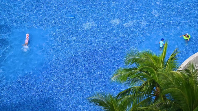 夏天椰树与蓝色游泳池航拍高视角