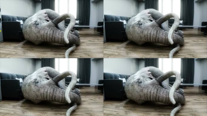 搞笑的大象在房间里睡觉。逼真的4k动画。