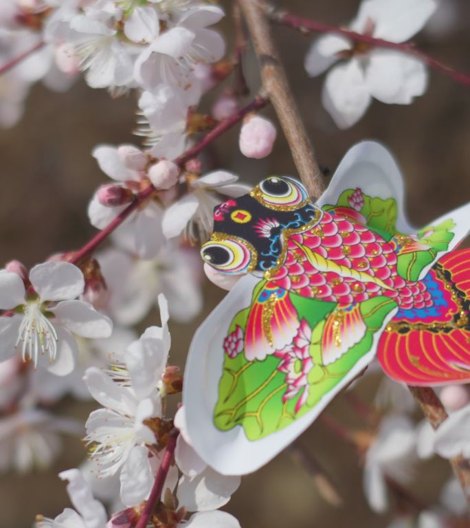 春天盛开山桃花梅花樱花蜜蜂采蜜