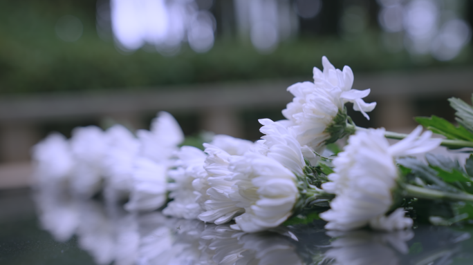 清明节 祭奠