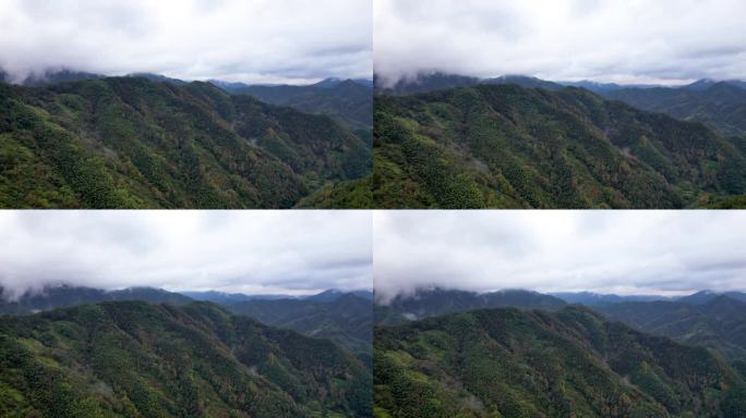 新安江山水画廊自然风光徽文化古村落航拍