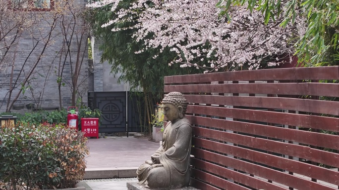 西安地标广仁寺寺庙红墙拱门山桃花春天航拍