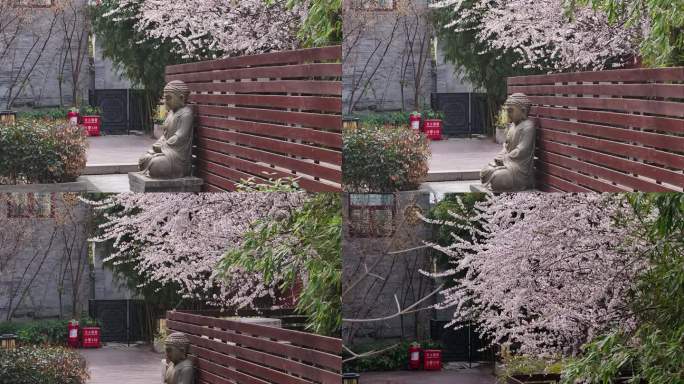 西安地标广仁寺寺庙红墙拱门山桃花春天航拍