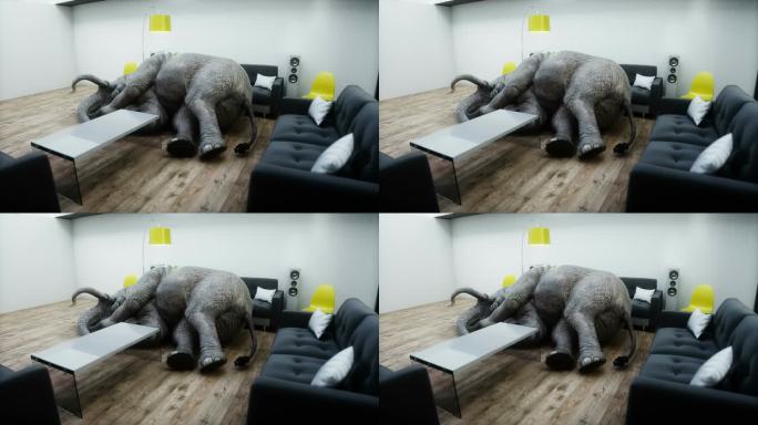 搞笑的大象在房间里睡觉。逼真的4k动画。