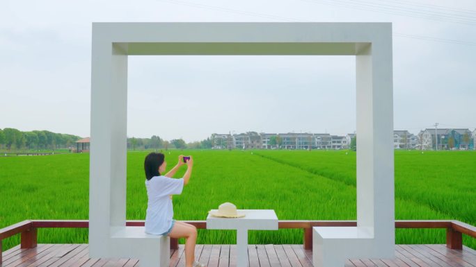 夏日稻田模特漫步