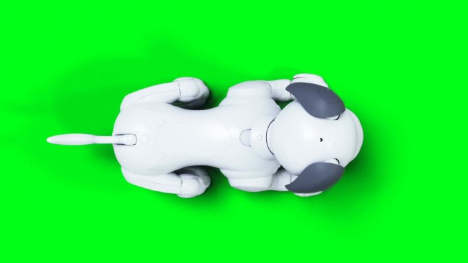 小有趣的机器智能狗，宠物。绿屏隔离。