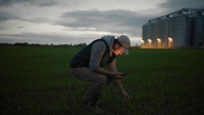 黄昏时分，拿着智能手机的男性农民在农场检查新作物