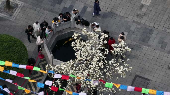 西安地标广仁寺寺庙红墙拱门山桃花春天航拍