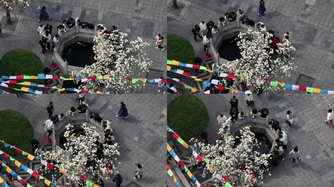 西安地标广仁寺寺庙红墙拱门山桃花春天航拍