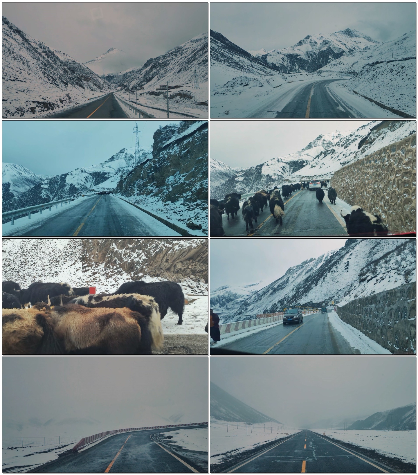 第一视角行车3月雪景西藏