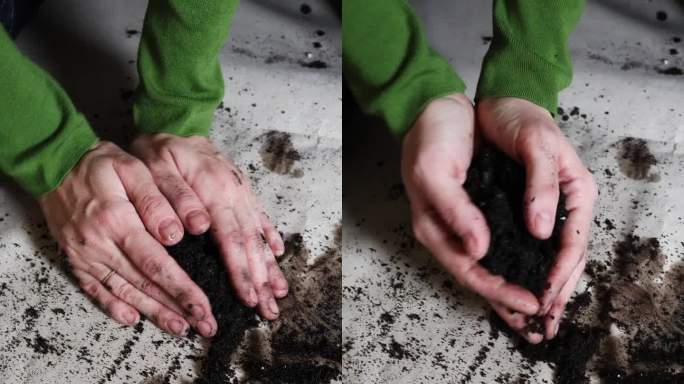女人的手从地上铲起黑色的粘土。他手里拿着泥土来种花。特写垂直视频。相机抖动