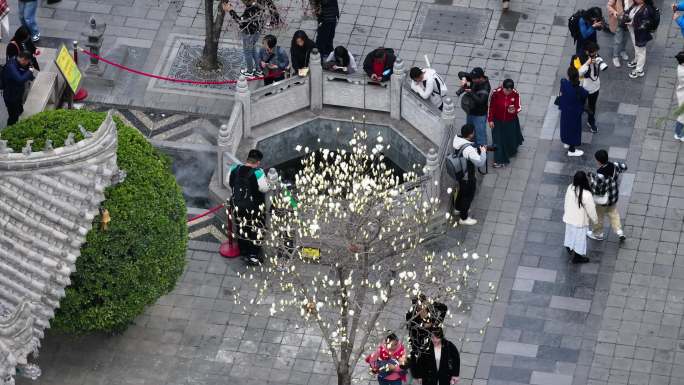 西安地标广仁寺寺庙红墙拱门山桃花春天航拍