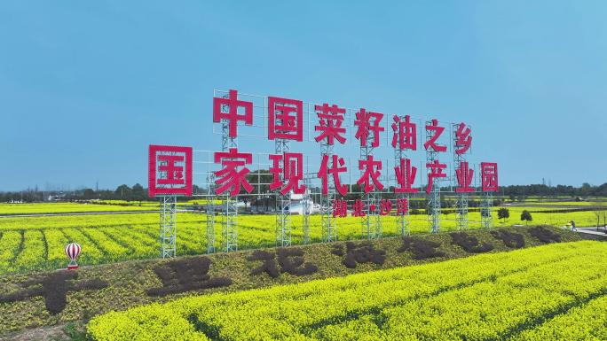 4K航拍中国沙洋菜籽油农业产业园