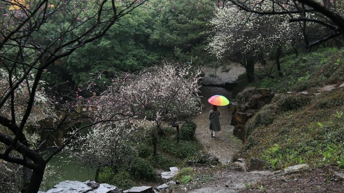 撑着彩色雨伞在逛园林的女人