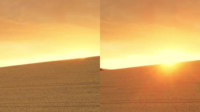空中金色黄昏:摩拉维亚地区无尽麦田的日落无人机镜头
