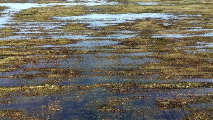 空中的草地被水和泥覆盖。一片绿色的田野在春天被淹了