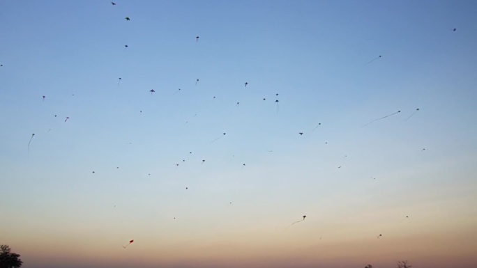 鱼风筝在天上飞。户外活动放风筝