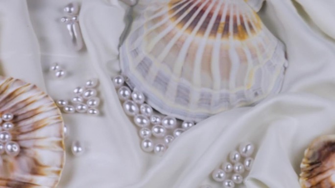 水面上的涟漪映衬着水下的贝壳和珍珠。