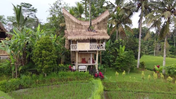 巴厘岛乌布绿色乡村风光中的竹屋小屋。无人机多莉