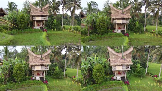巴厘岛乌布绿色乡村风光中的竹屋小屋。无人机多莉