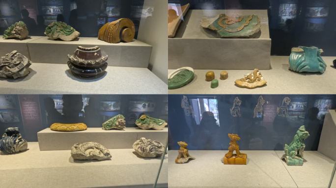 圆明园遗址遗物文物植物动物碎片骨骼瓷器