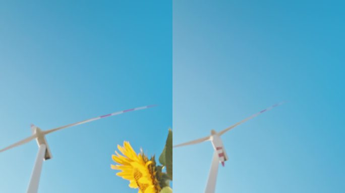 自然与科技的和谐:向日葵与风力涡轮机