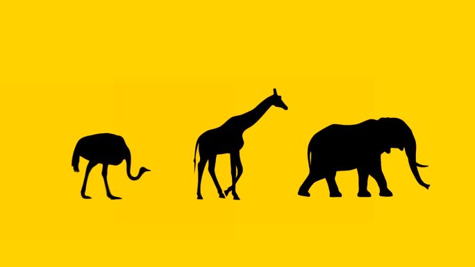大象、长颈鹿和鸵鸟的动画