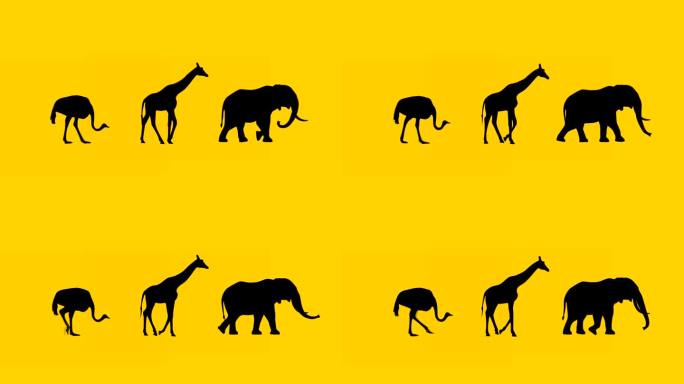 大象、长颈鹿和鸵鸟的动画
