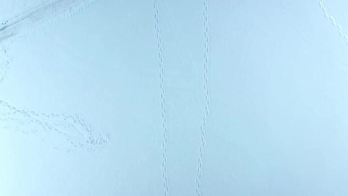在拉瓦尔西部的冬季，无人机沿着冰冻湖面上留下的脚印直接向下拍摄，帧数为24帧