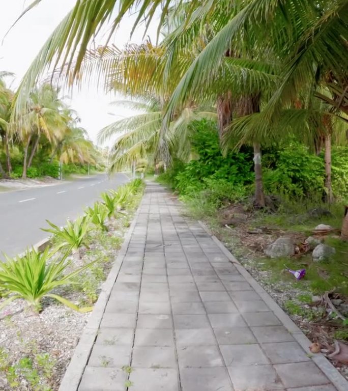 在富瓦穆拉岛棕榈树下的街道上散步的第一个人。垂直镜头