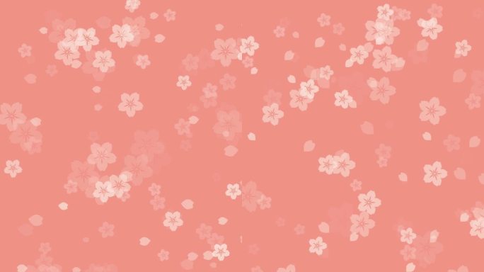 樱花在温柔的桃色垂直背景上绽放