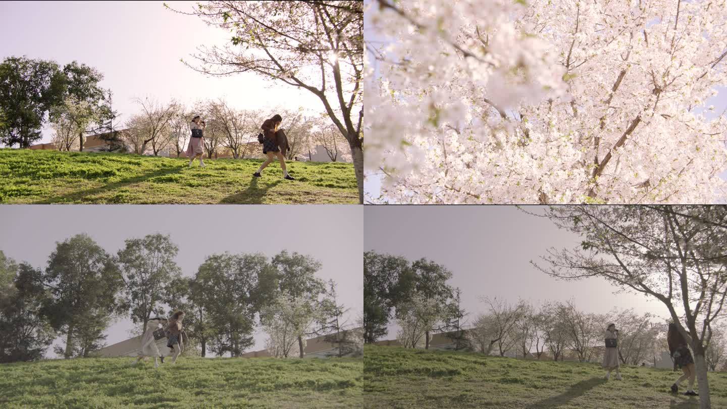 阿莱春季户外旅行踏青美女草坪跑步赏樱花